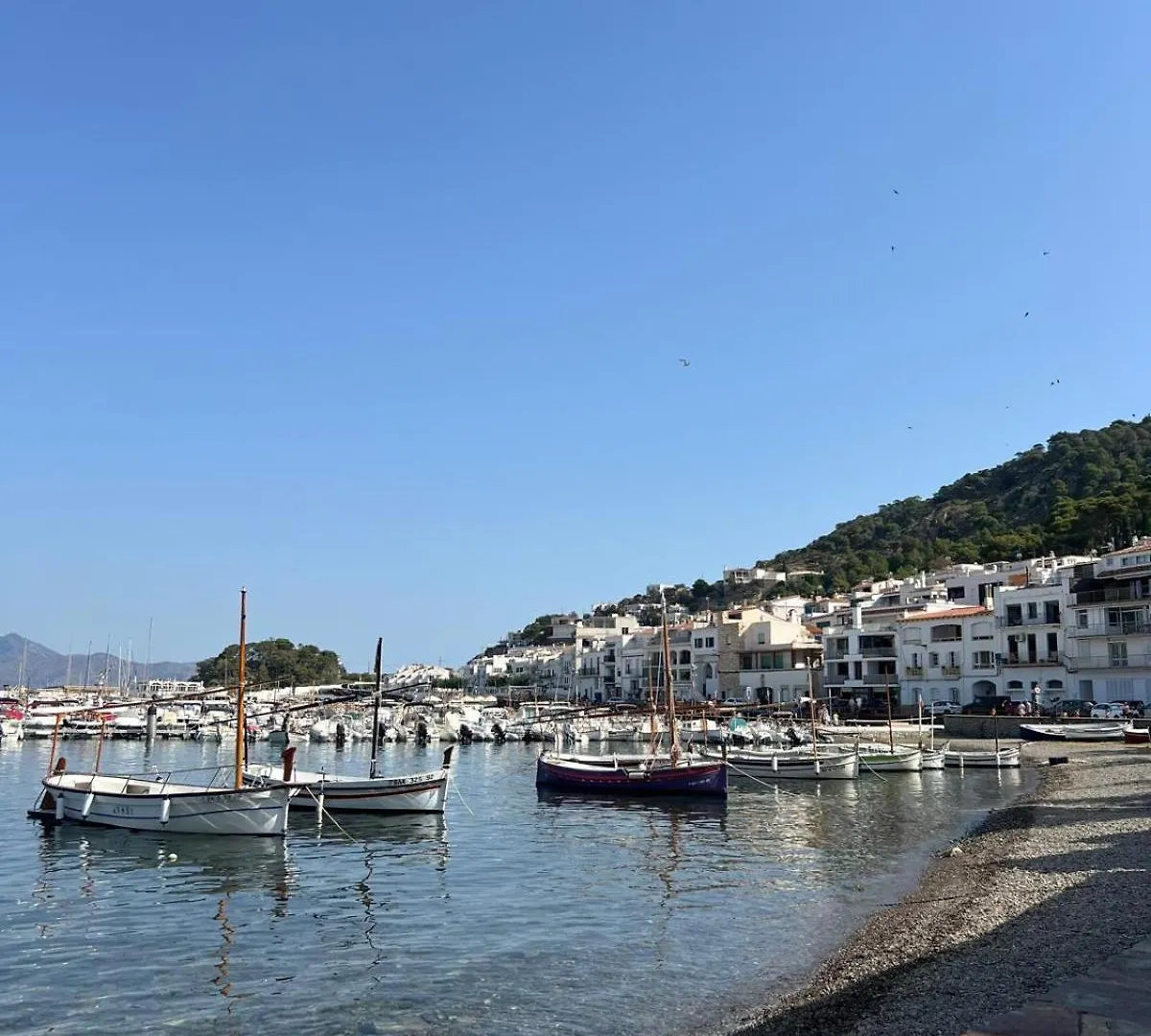 Hostal Sol I Sombra El Port De La Selva 0*,  Spain